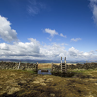 Buy canvas prints of Countryside Style by Aran Smithson