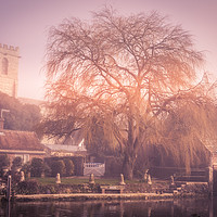 Buy canvas prints of Morning Mist Willow Tree by Kelvin Futcher 2D Photography