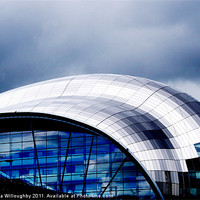 Buy canvas prints of The Sage in Blue by Rebecca Willoughby