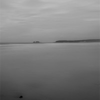 Buy canvas prints of Soft with Seaweed Black and White by Kieran Brimson