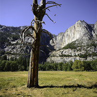 Buy canvas prints of Yosemite by Kieran Brimson