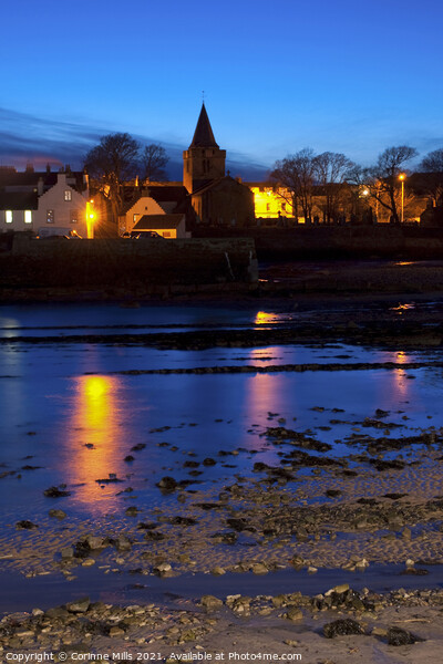 Anstruther evening Picture Board by Corinne Mills