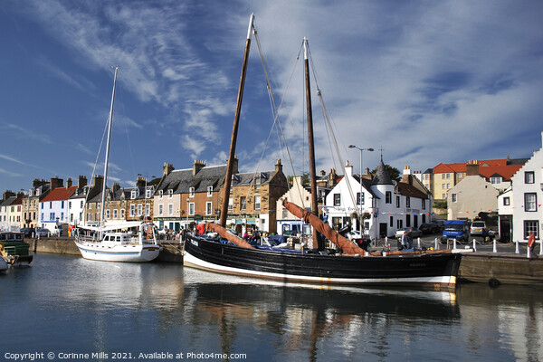 The Reaper at Anstruther Picture Board by Corinne Mills