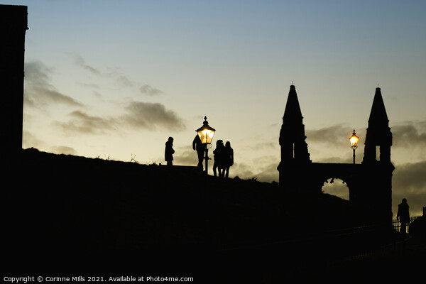 Silhouettes at St Andrews Cathedral Picture Board by Corinne Mills