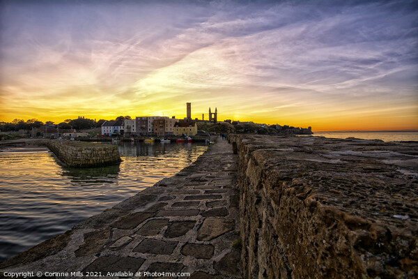 Sunset at St Andrews Harbour Picture Board by Corinne Mills