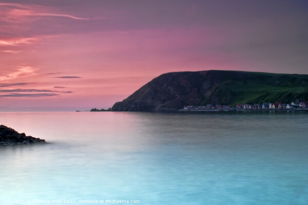 Gamrie Bay looking over to Crovie Picture Board by Corinne Mills