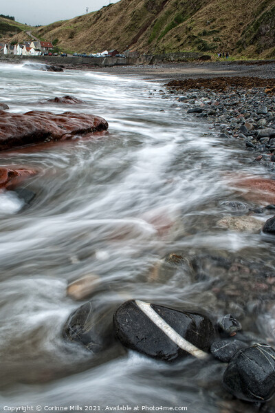 Incoming tide at Crovie Picture Board by Corinne Mills