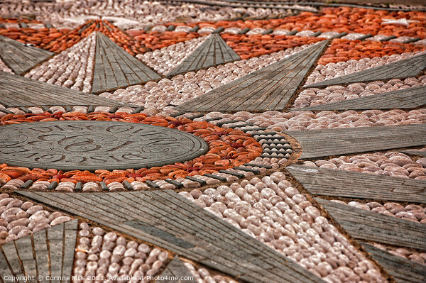 Discovery Point Dundee mosaic pavement Picture Board by Corinne Mills