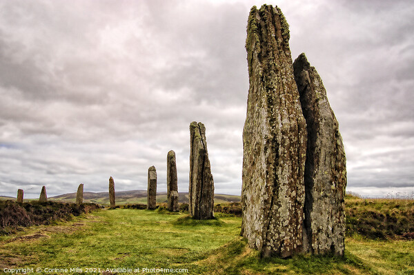 The Ring of Brodgar, Stenness, Orkney Picture Board by Corinne Mills