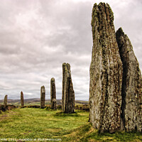 Buy canvas prints of The Ring of Brodgar, Stenness, Orkney by Corinne Mills