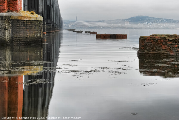 Looking along the Tay Rail Bridge Picture Board by Corinne Mills