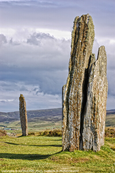 Ring of Brodgar, Orkney Islands Picture Board by Corinne Mills