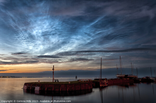 Noctilucent clouds over Tayport Harbour Picture Board by Corinne Mills