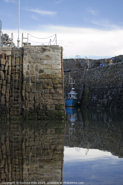 Crail Harbour  Picture Board by Corinne Mills