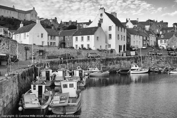 Crail Harbour  Picture Board by Corinne Mills