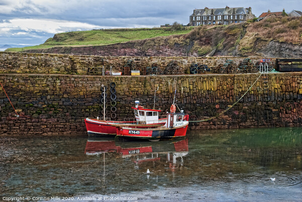 KYLIE S - KY 449 at Crail Harbour Picture Board by Corinne Mills