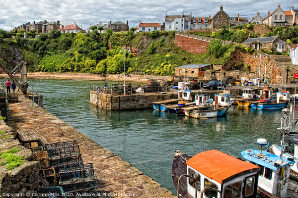 Crail Harbour Picture Board by Corinne Mills