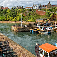 Buy canvas prints of Crail Harbour by Corinne Mills