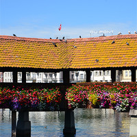 Buy canvas prints of Colourful Bridge in Luzern by Russell Deaney