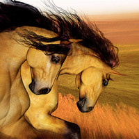 Buy canvas prints of The Buckskins by Valerie Anne Kelly