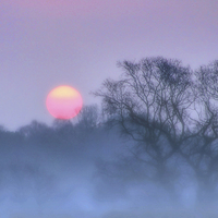 Buy canvas prints of Sunrise in the mist by Valerie Anne Kelly