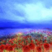Buy canvas prints of Poppies in the mist by Valerie Anne Kelly