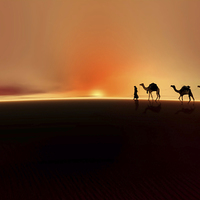 Buy canvas prints of Desert mirage by Valerie Anne Kelly