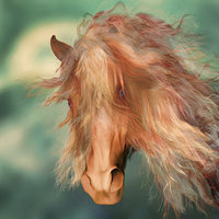 Buy canvas prints of  A horse called Copper by Valerie Anne Kelly