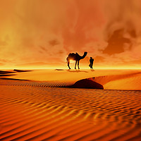 Buy canvas prints of The Bedouin by Valerie Anne Kelly