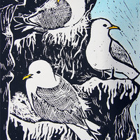 Buy canvas prints of Black-Footed Kittiwakes by Katherine Booth - Jones