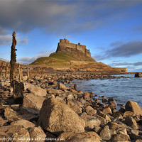 Buy canvas prints of Evening Light on Lindisfarne by paula smith