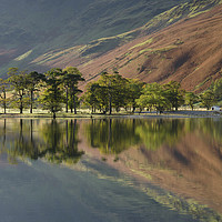 Buy canvas prints of Buttermere in Autumn  by paula smith