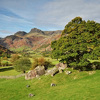 Buy canvas prints of Langdale Boulders by paula smith