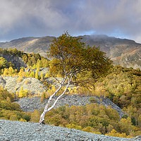 Buy canvas prints of Hodge Close Quarry by paula smith