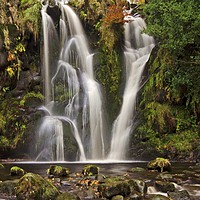 Buy canvas prints of Posforth Gill Waterfall by paula smith