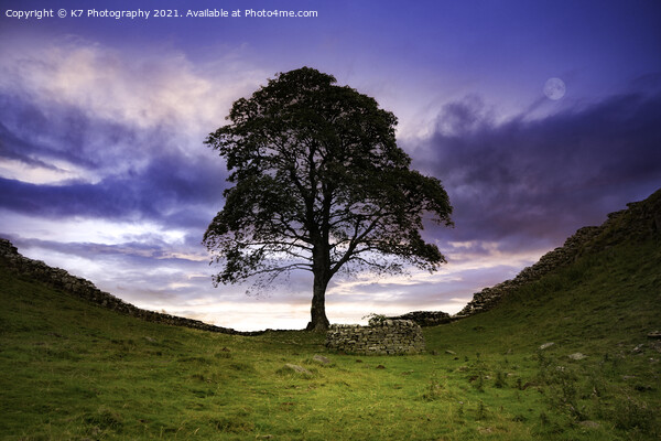 Sycamore Gap Picture Board by K7 Photography