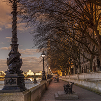 Buy canvas prints of  Evening on the Southbank at Lambeth Palace by K7 Photography