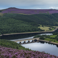 Buy canvas prints of  The heather of the Upper Derwent Valley by K7 Photography