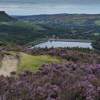 Buy canvas prints of  Ladybower in Bloom by K7 Photography