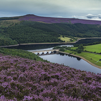 Buy canvas prints of Colour comes to Ladybower by K7 Photography