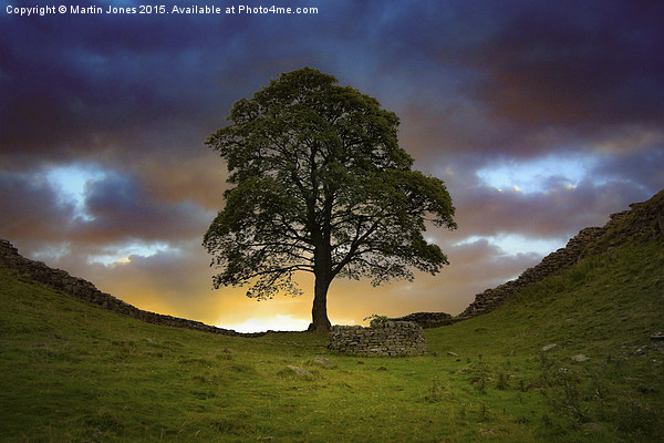  The Sycamore Gap Picture Board by K7 Photography