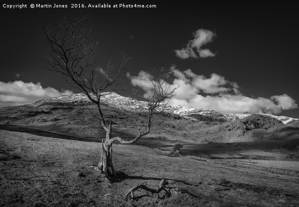 The Old Man of Coniston Picture Board by K7 Photography