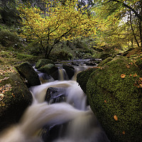 Buy canvas prints of Serene Autumn Brook by K7 Photography