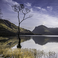 Buy canvas prints of Buttermere Reflections by K7 Photography