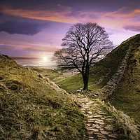 Buy canvas prints of Sycamore Gap by K7 Photography