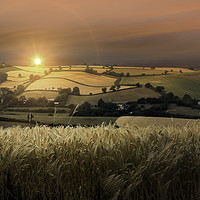 Buy canvas prints of The Rolling Hills of South Devon by K7 Photography