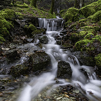 Buy canvas prints of Woodland Streams of Coniston by K7 Photography