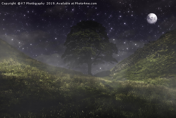 Misty Moonlight at Sycamore Gap Picture Board by K7 Photography