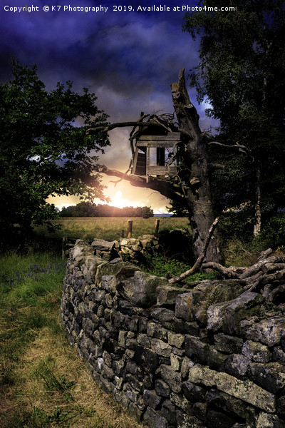 The Spooky Old Treehouse on the Moor Picture Board by K7 Photography
