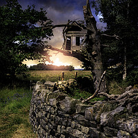 Buy canvas prints of The Spooky Old Treehouse on the Moor by K7 Photography